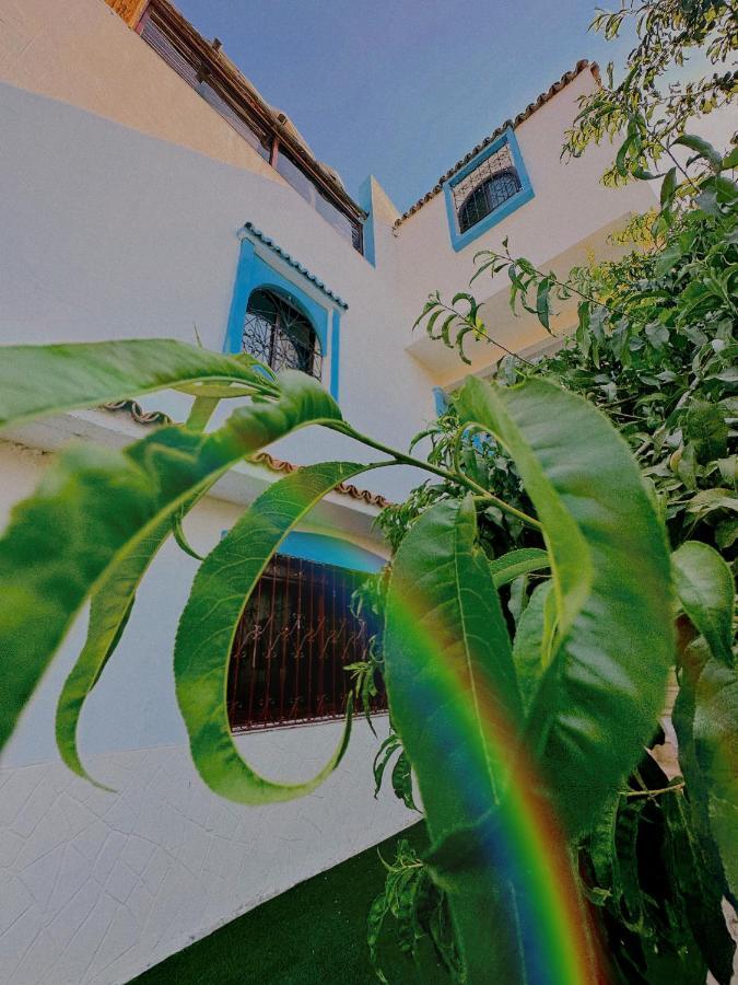 Auberge Dalia Chefchaouen Luaran gambar