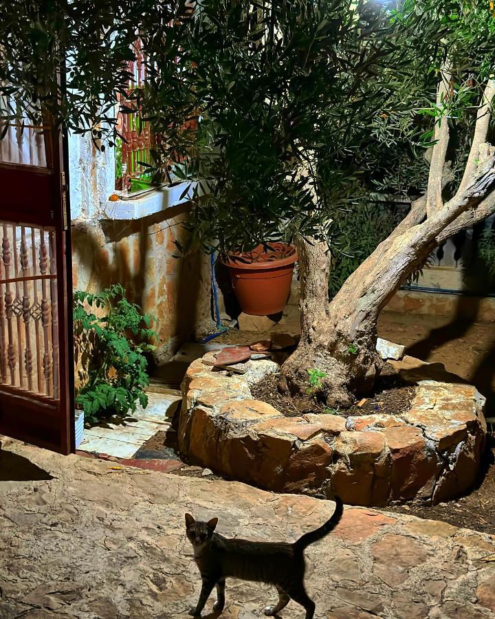 Auberge Dalia Chefchaouen Luaran gambar